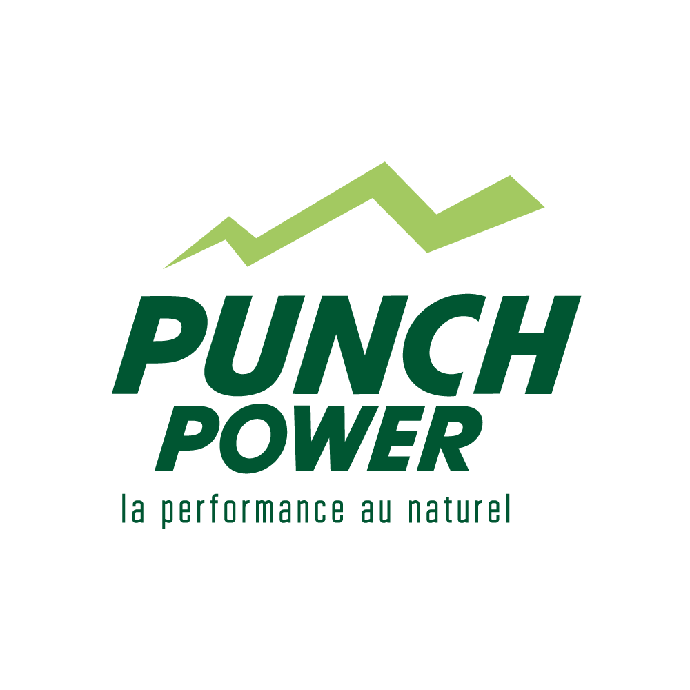 Logo Punch power